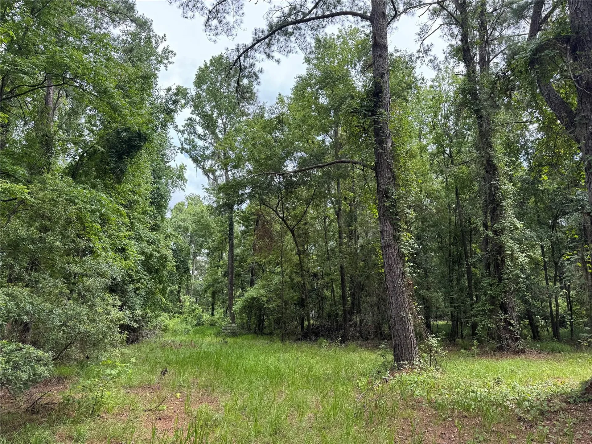 Tbd NW 67th Boulevard Alachua FL 32615