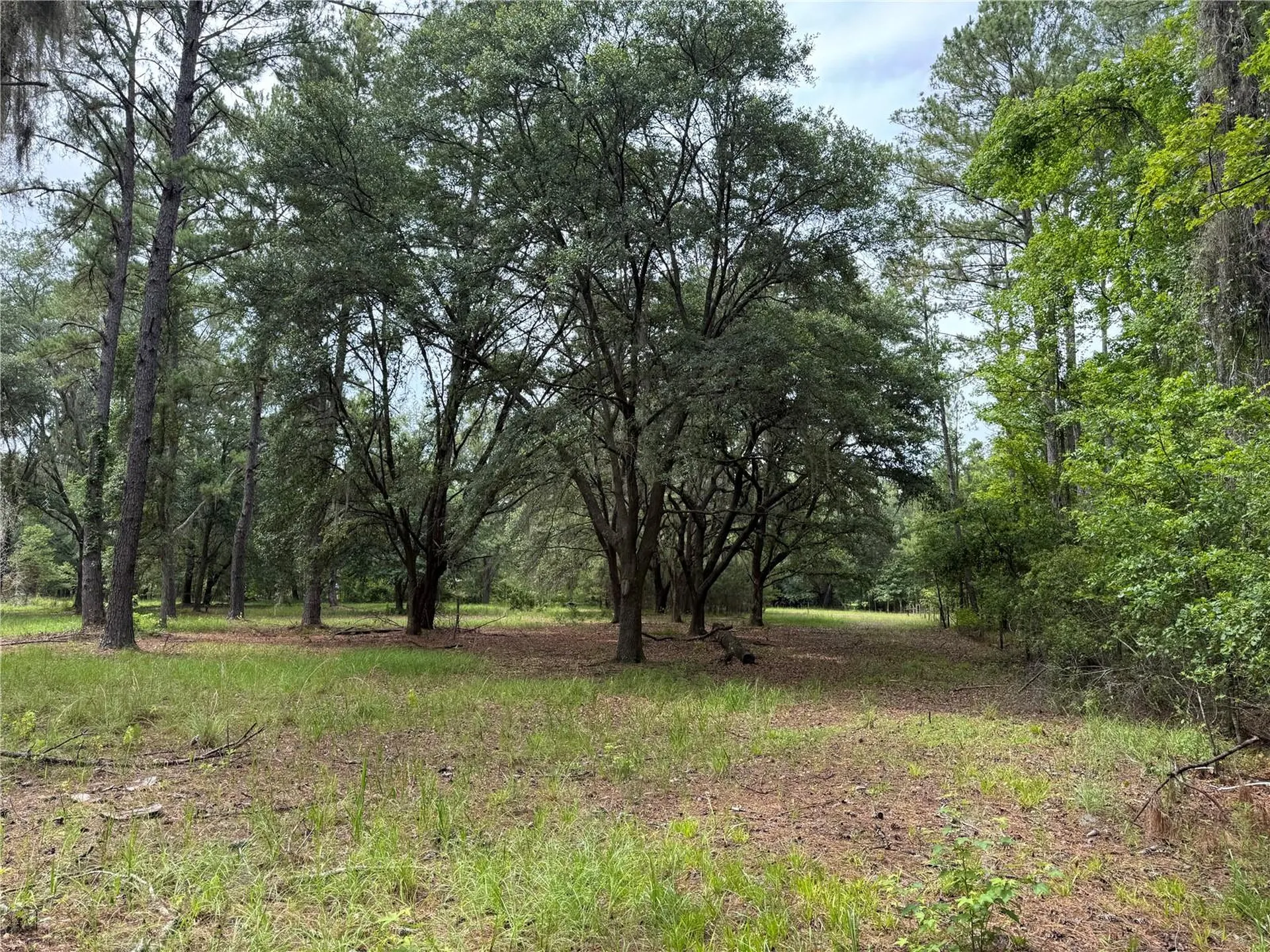 Tbd NW 67th Boulevard Alachua FL 32615