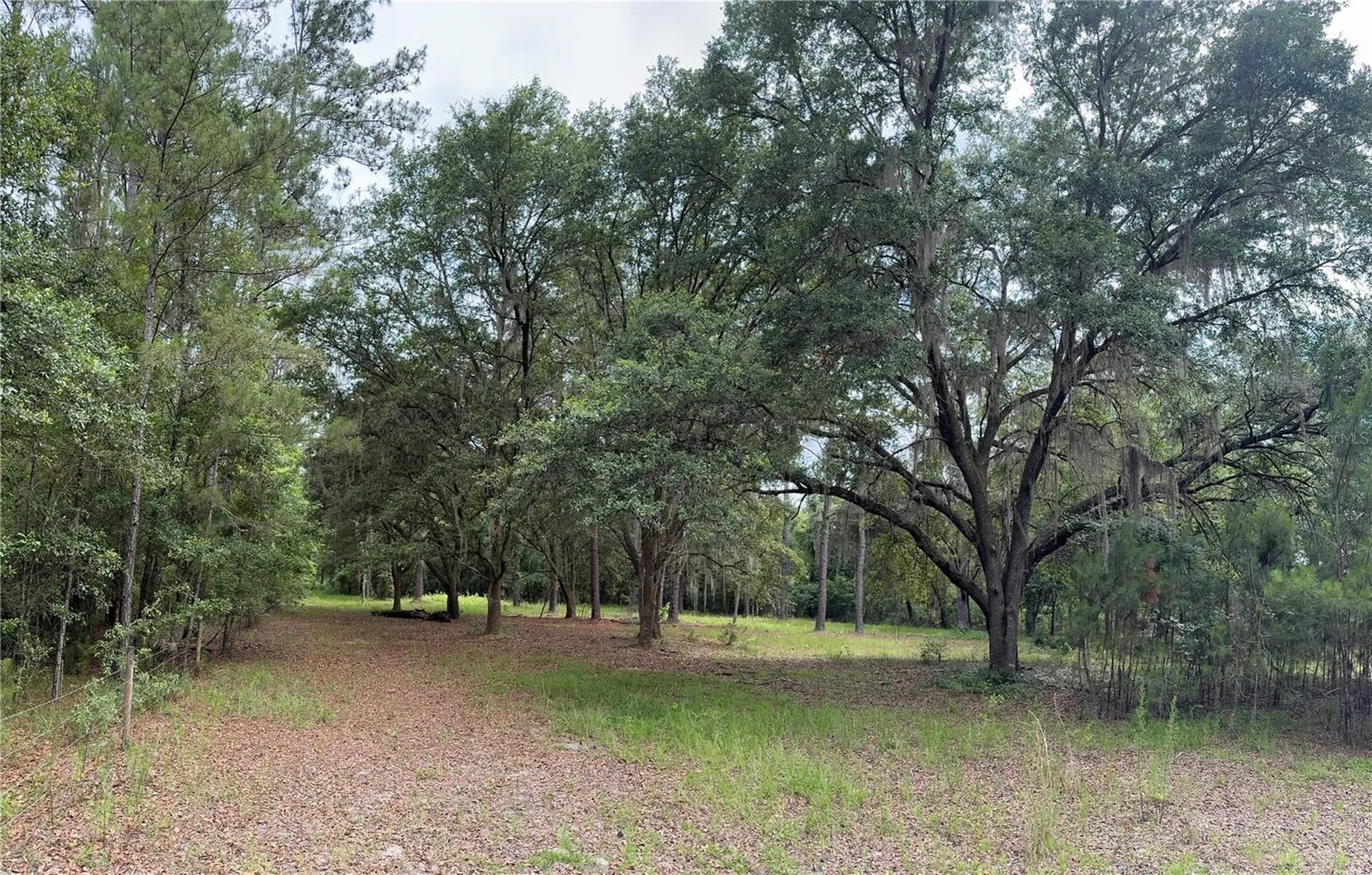 Tbd NW 67th Boulevard Alachua FL 32615