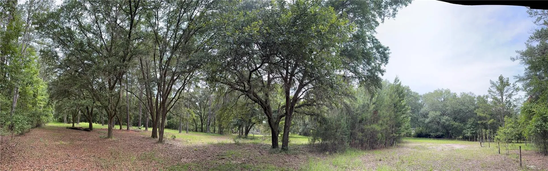 Tbd NW 67th Boulevard Alachua FL 32615