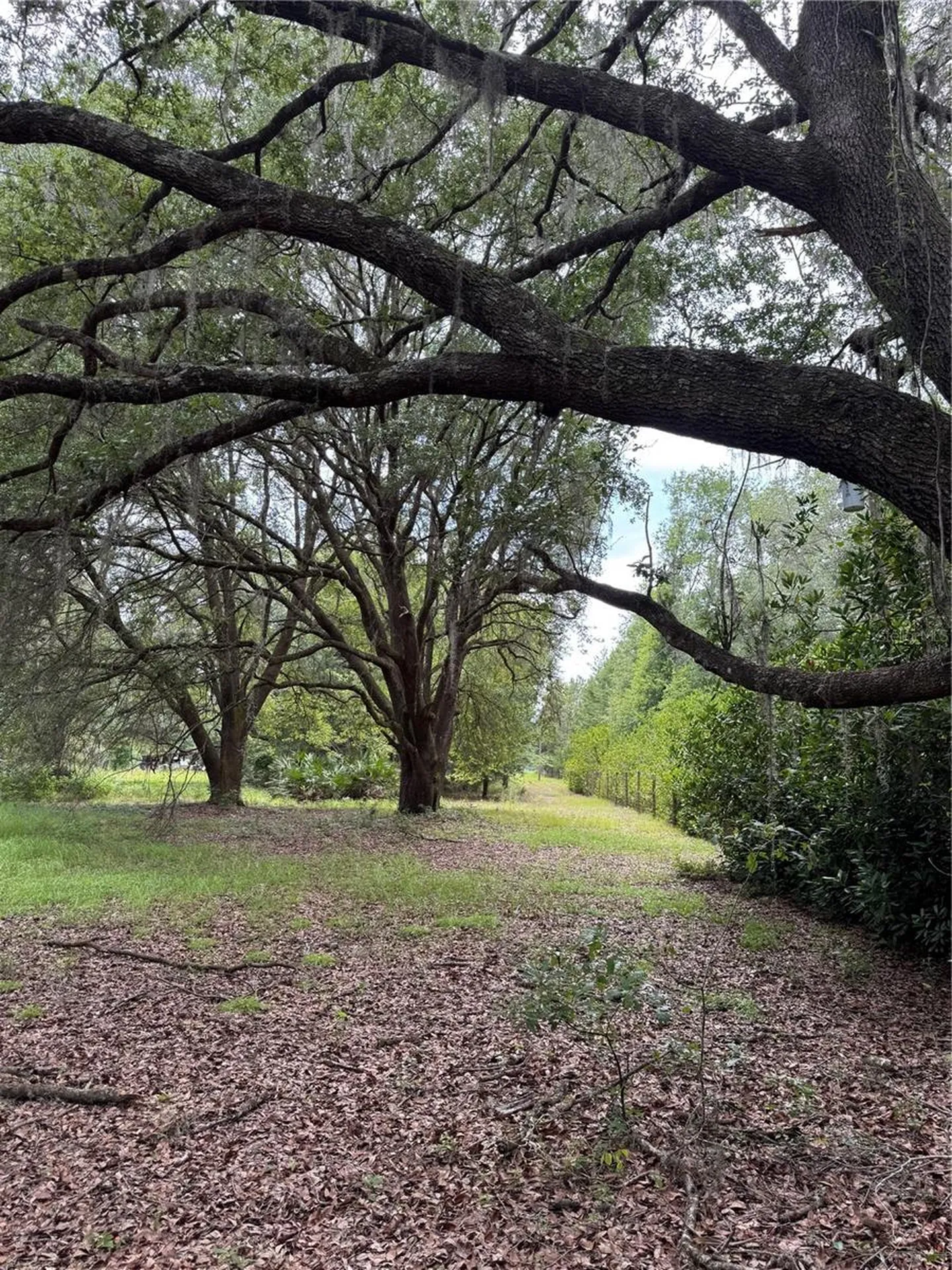 Tbd NW 67th Boulevard Alachua FL 32615
