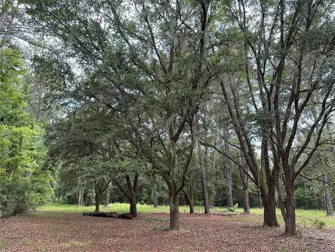 Tbd NW 67th Boulevard Alachua FL 32615