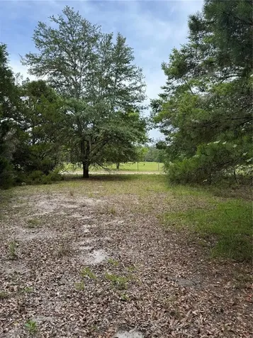 Tbd NW 67th Boulevard Alachua FL 32615