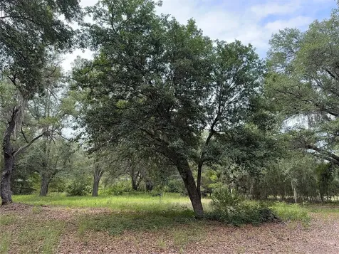 Tbd NW 67th Boulevard Alachua FL 32615