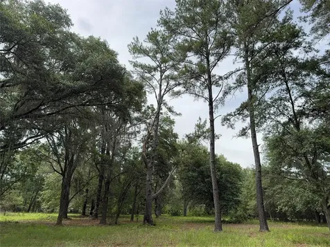 Tbd NW 67th Boulevard Alachua FL 32615