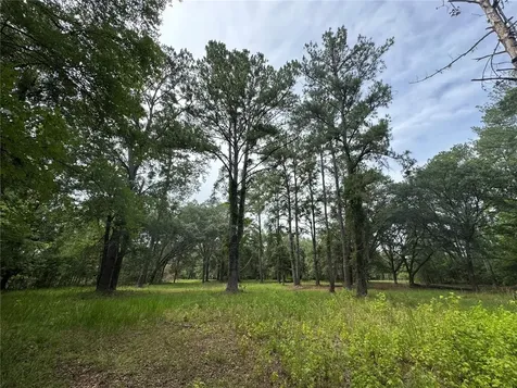 Tbd NW 67th Boulevard Alachua FL 32615