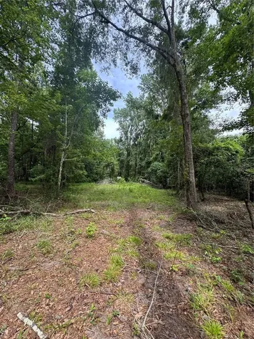 Tbd NW 67th Boulevard Alachua FL 32615