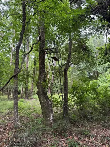 Tbd NW 67th Boulevard Alachua FL 32615