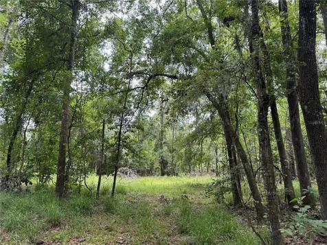 Tbd NW 67th Boulevard Alachua FL 32615