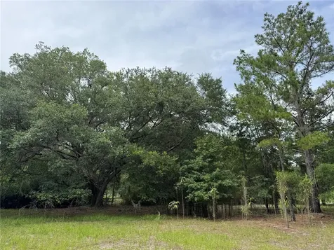 Tbd NW 67th Boulevard Alachua FL 32615