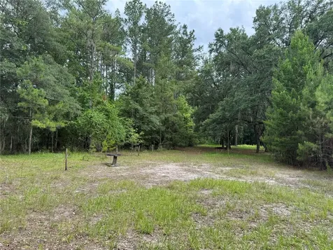 Tbd NW 67th Boulevard Alachua FL 32615