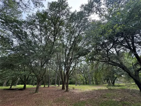 Tbd NW 67th Boulevard Alachua FL 32615