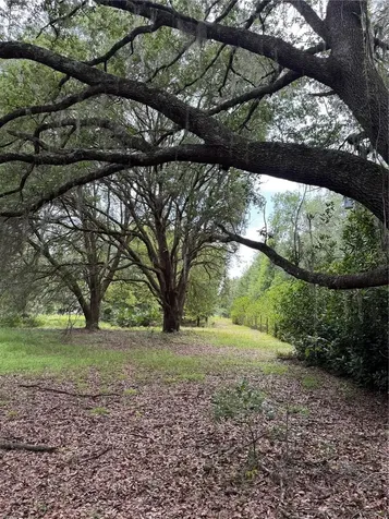 Tbd NW 67th Boulevard Alachua FL 32615