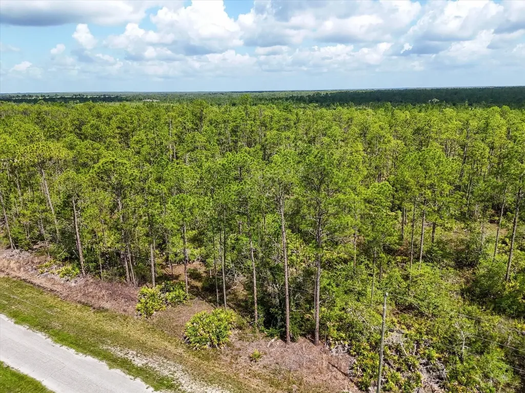Lot 62 Meadow Lark Boulevard Lake Wales FL 33898
