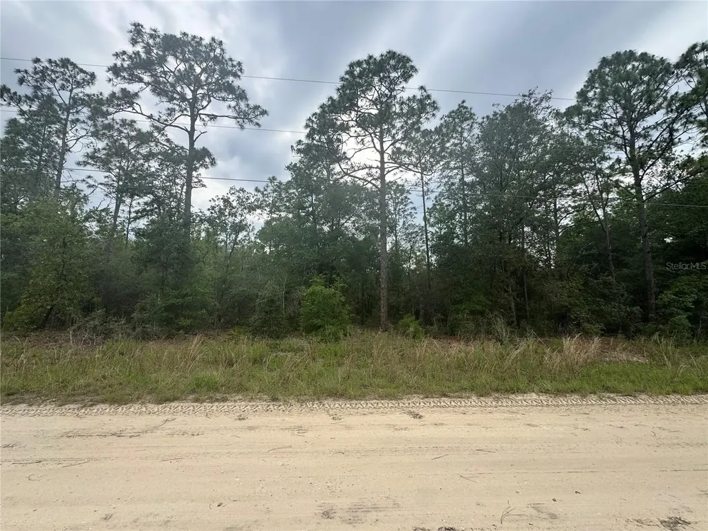 Tbd SW 159 Court Ocala FL 34481
