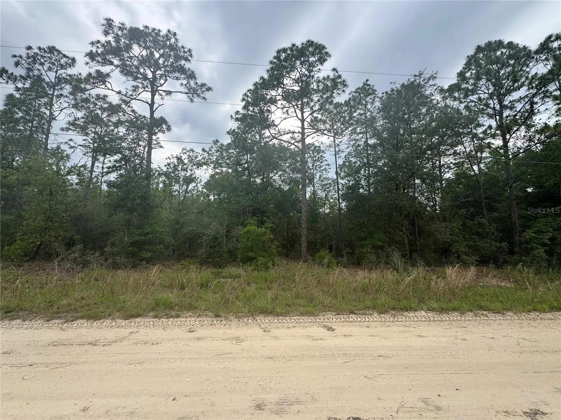 Tbd SW 159 Court Ocala FL 34481