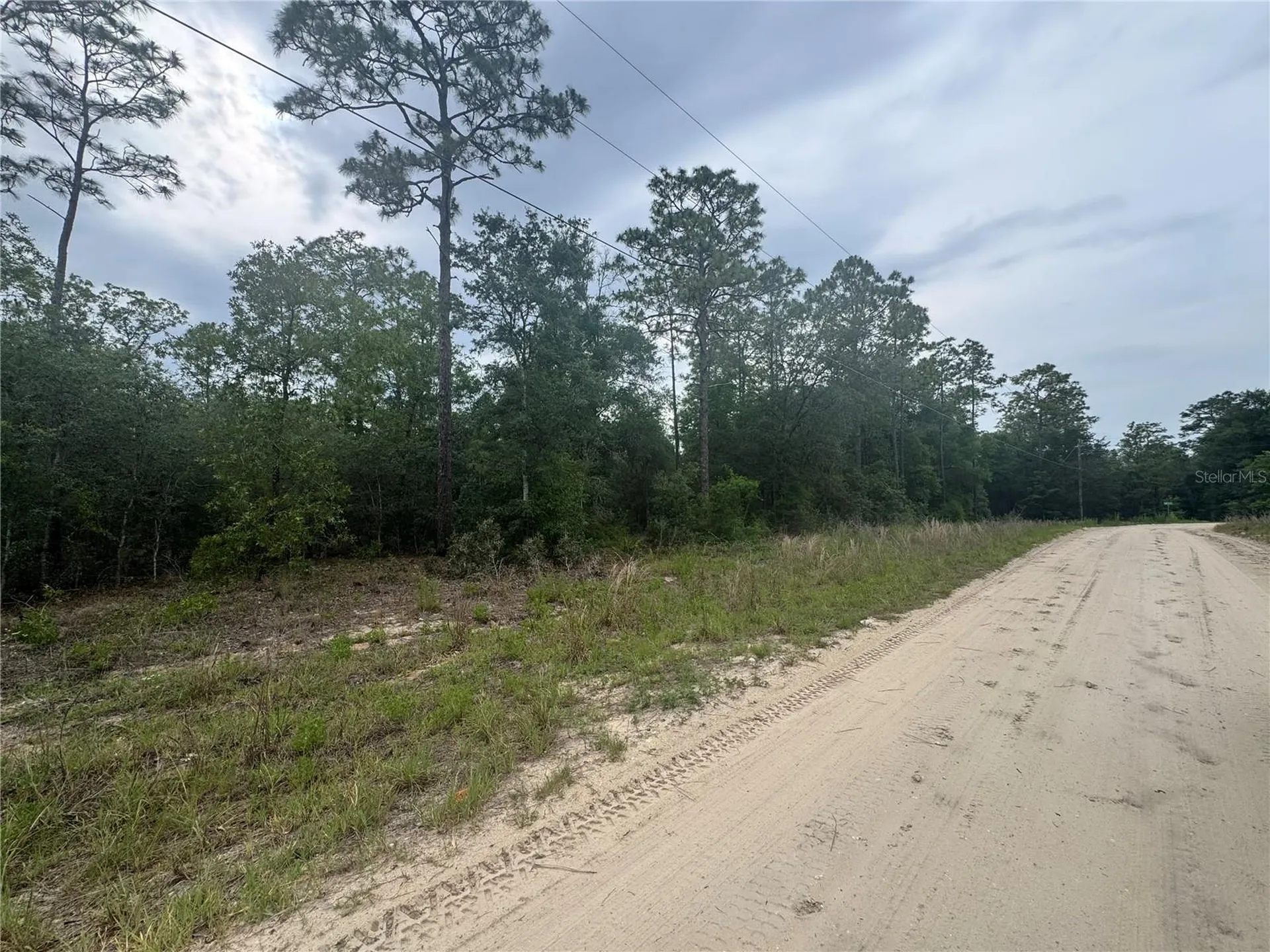 Tbd SW 159 Court Ocala FL 34481