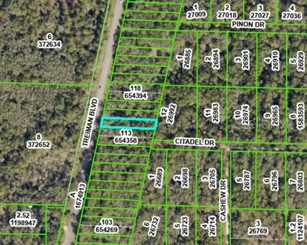 8388 Treiman Boulevard Webster FL 33597