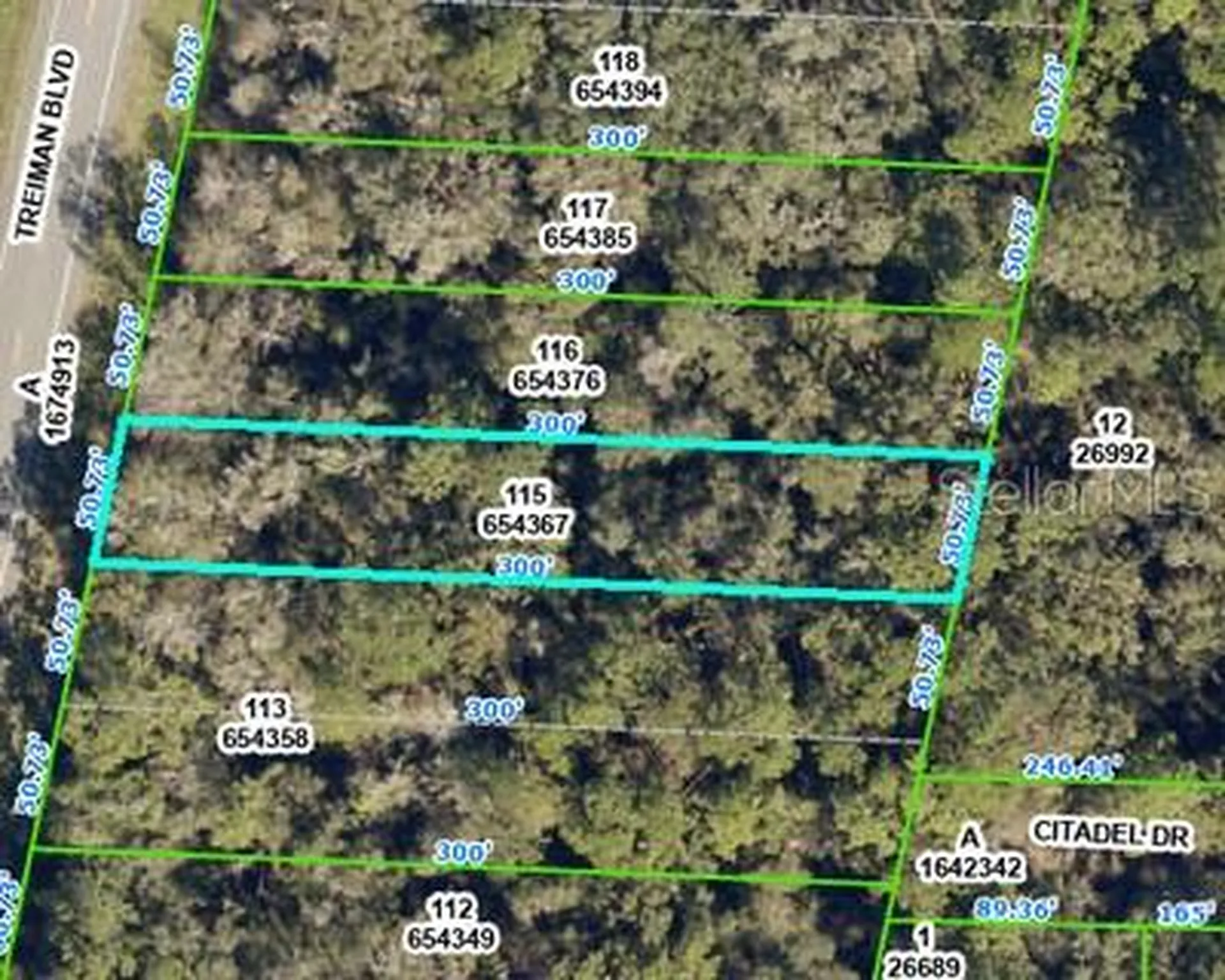 8388 Treiman Boulevard Webster FL 33597