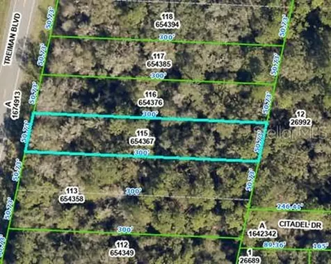 8388 Treiman Boulevard Webster FL 33597