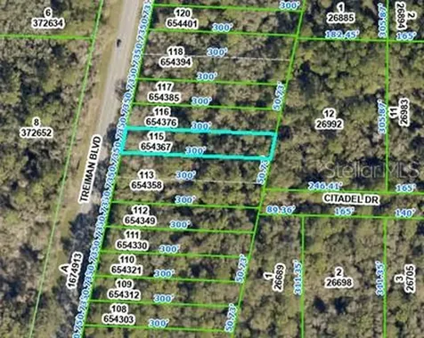 8388 Treiman Boulevard Webster FL 33597