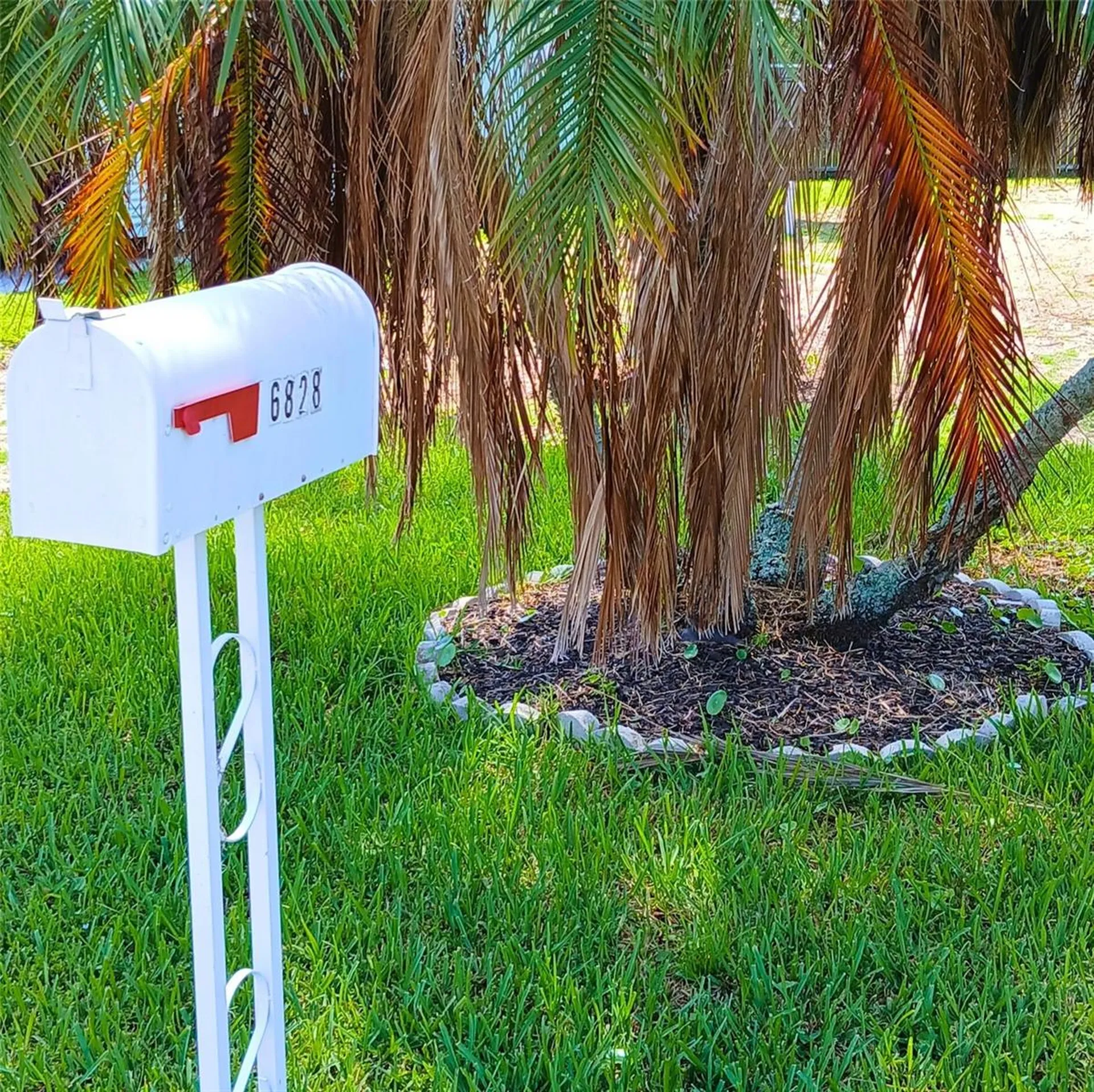 6828 Edgewater Drive New Port Richey FL 34652