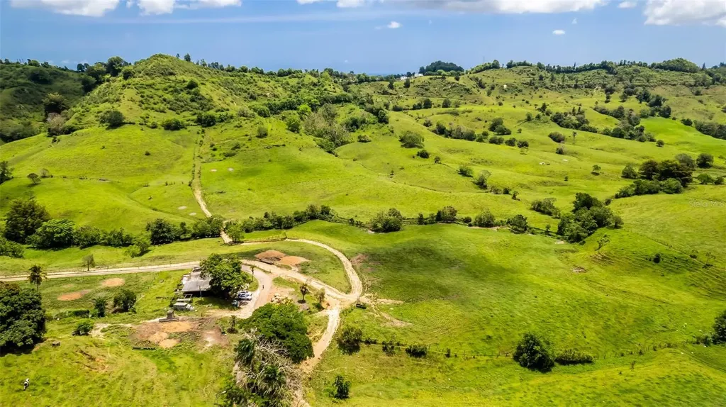 Km 1.6 633 Morovis PR 00687