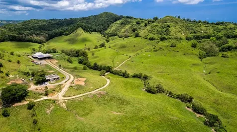 Km 1.6 633 Morovis PR 00687