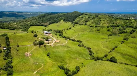 Km 1.6 633 Morovis PR 00687