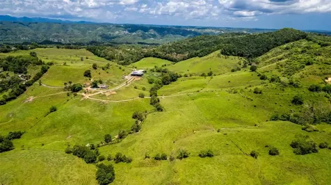 Km 1.6 633 Morovis PR 00687