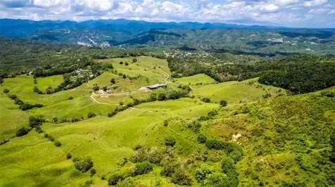 Km 1.6 633 Morovis PR 00687
