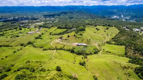 Km 1.6 633 Morovis PR 00687