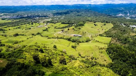 Km 1.6 633 Morovis PR 00687