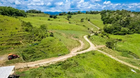 Km 1.6 633 Morovis PR 00687