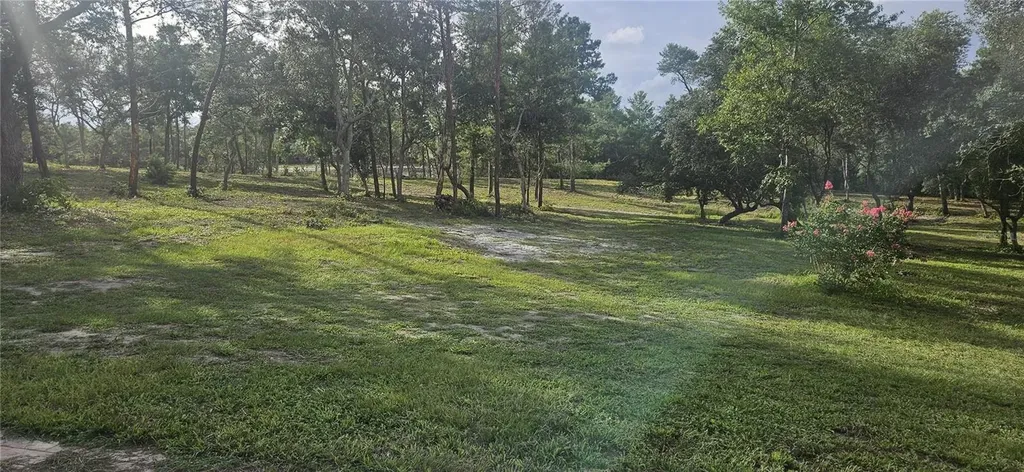 40140 Swift Road Eustis FL 32736