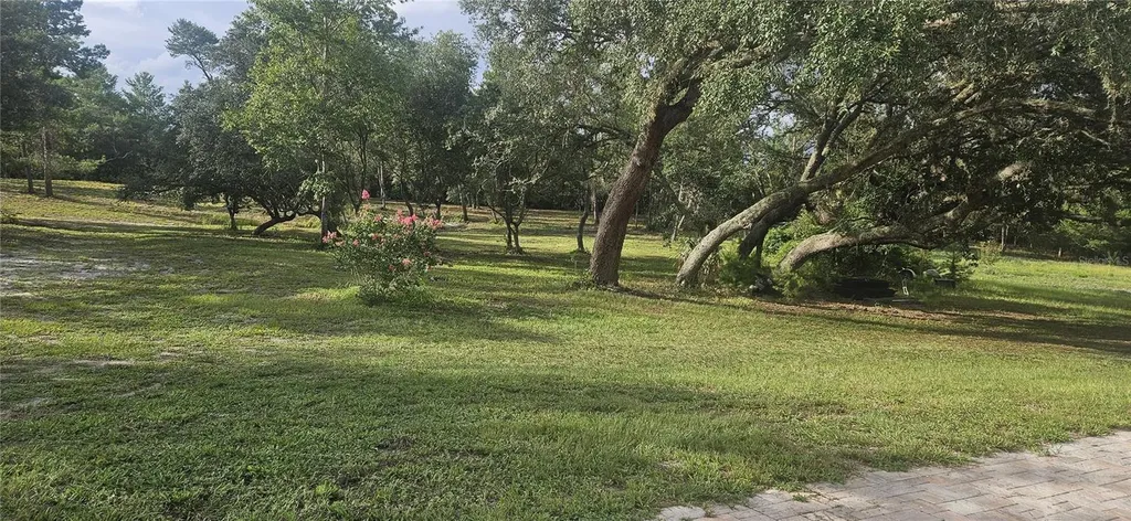 40140 Swift Road Eustis FL 32736