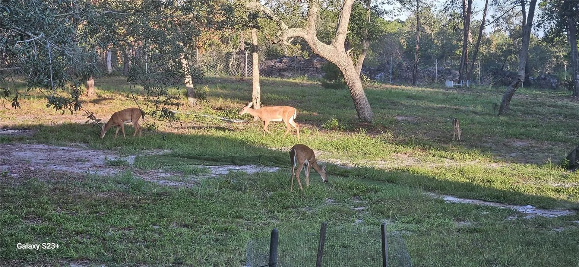 40140 Swift Road Eustis FL 32736