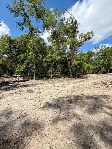 1909 S Farm Road Deland FL 32720