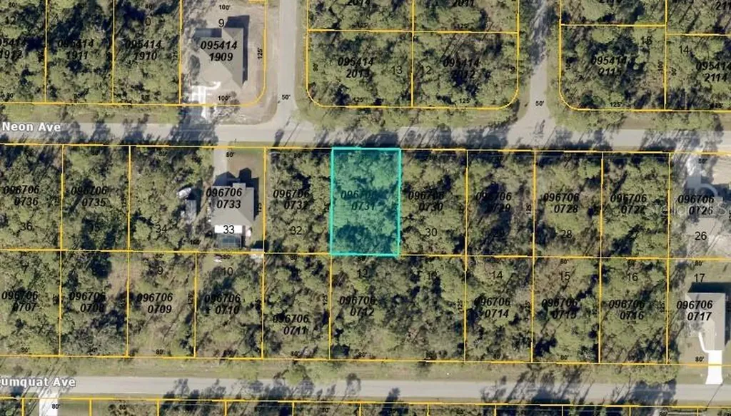 Neon Avenue North Port FL 34291