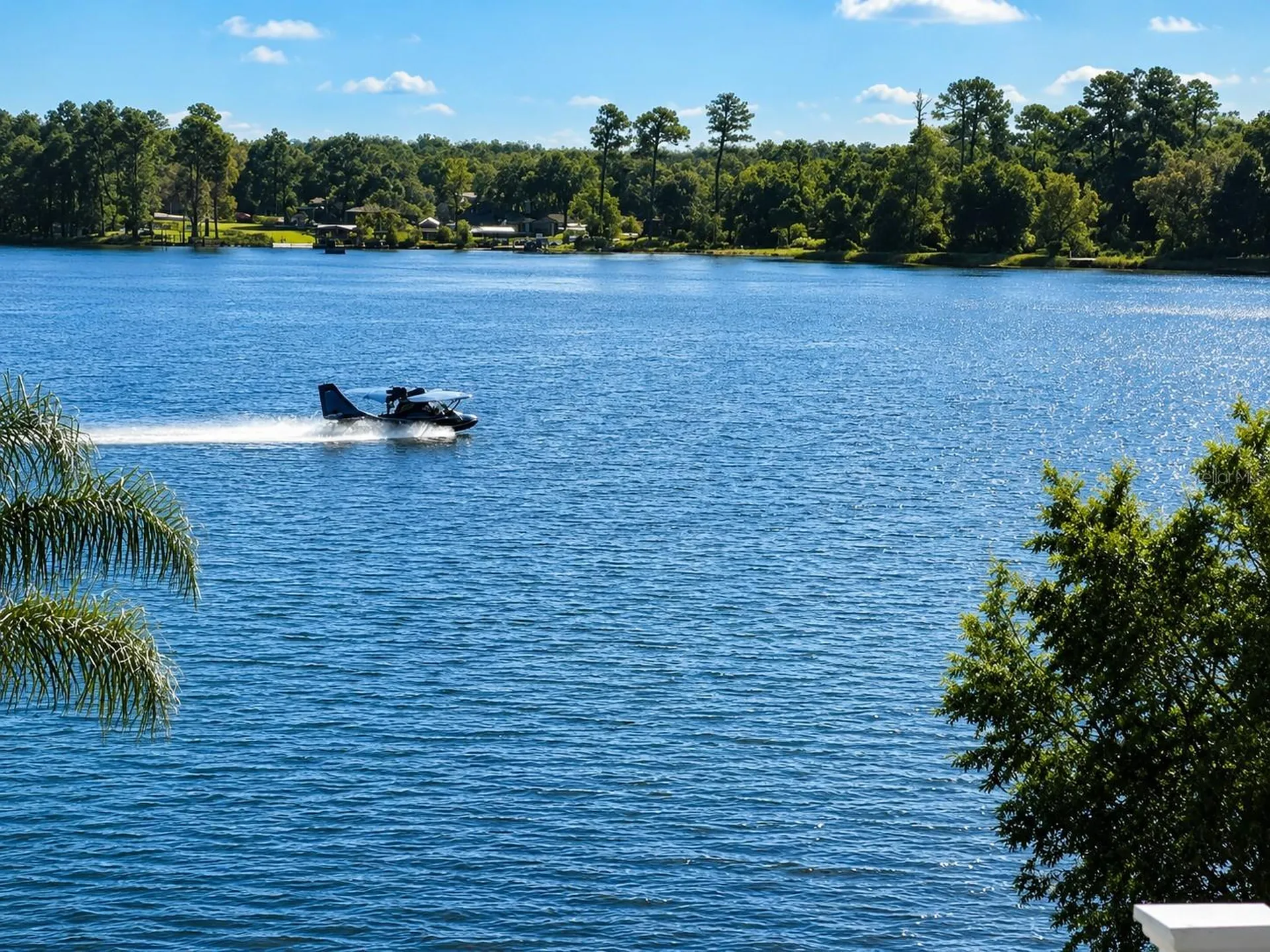 10893 SE 141 Avenue Road Ocklawaha FL 32179