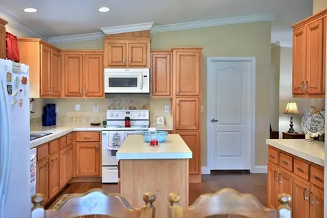10893 SE 141 Avenue Road Ocklawaha FL 32179