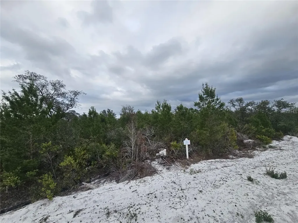 0 Gaillardia Drive Indian Lake Estates FL 33855