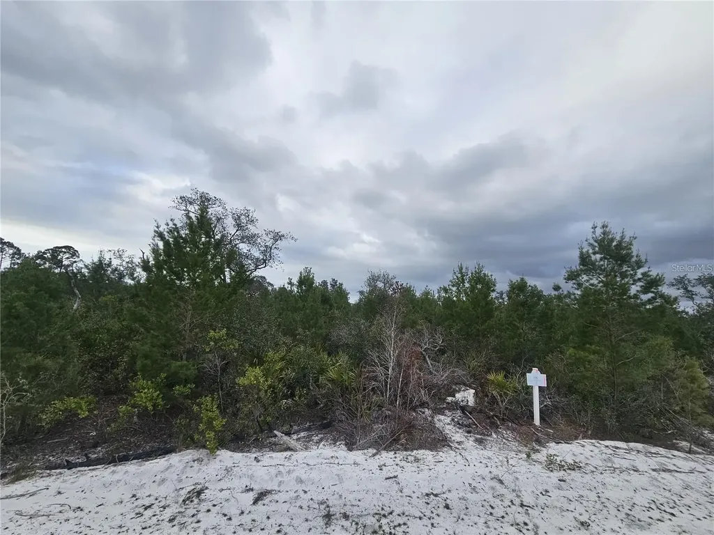 0 Gaillardia Drive Indian Lake Estates FL 33855