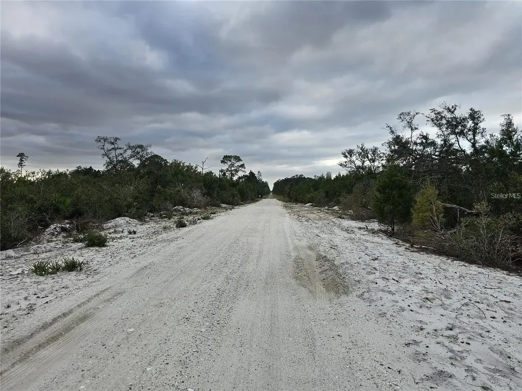0 Gaillardia Drive Indian Lake Estates FL 33855