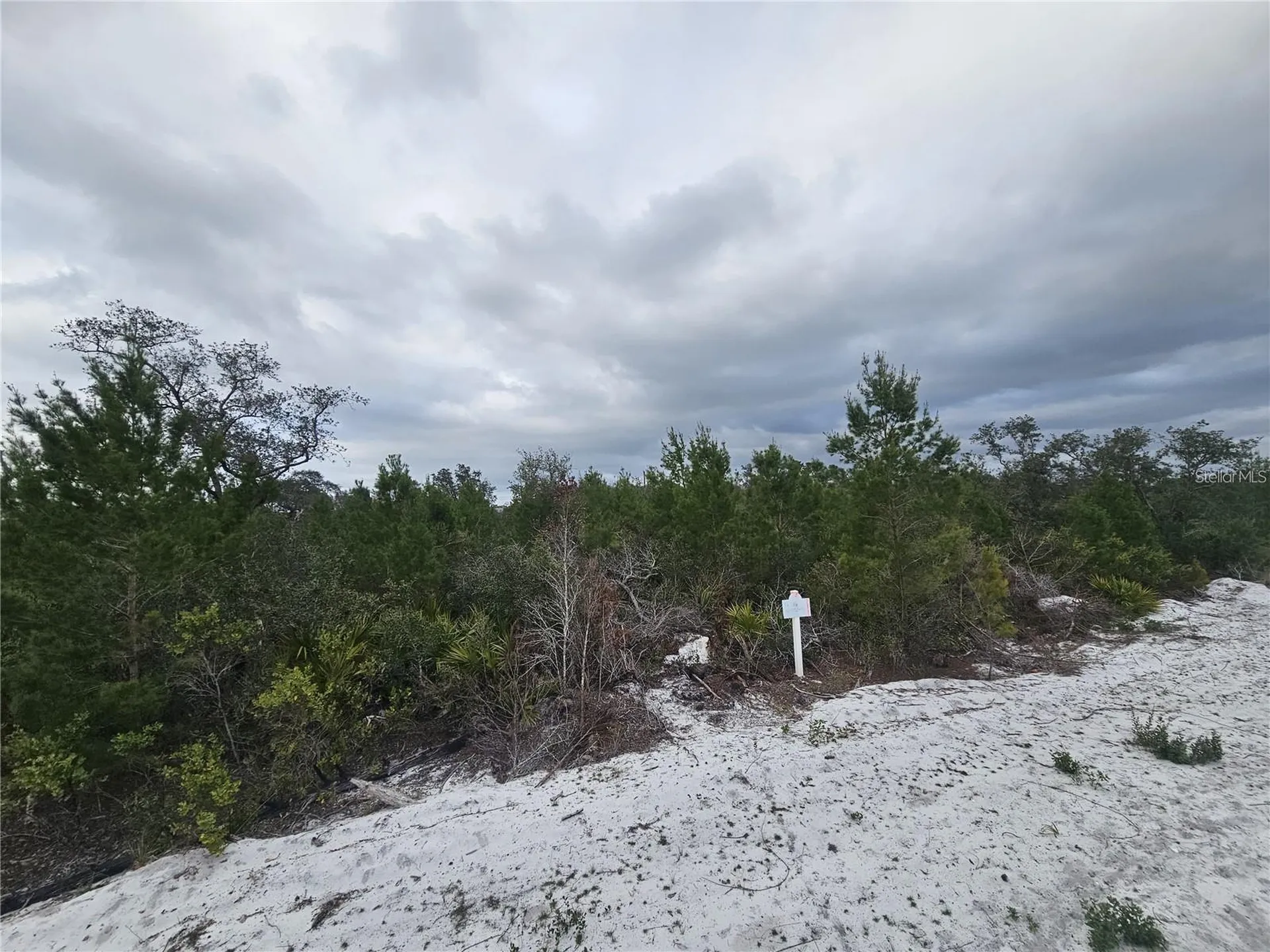 0 Gaillardia Drive Indian Lake Estates FL 33855