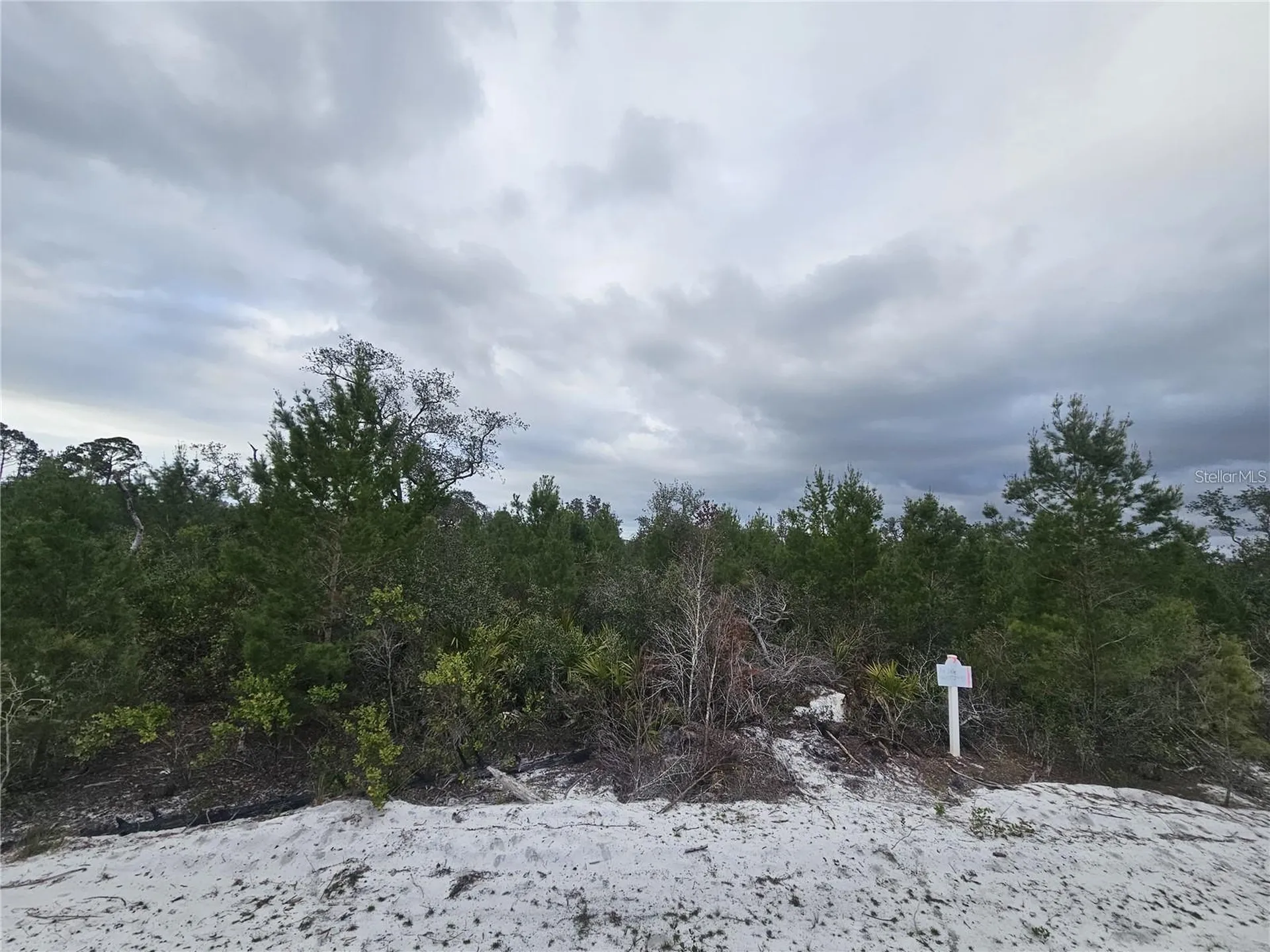 0 Gaillardia Drive Indian Lake Estates FL 33855