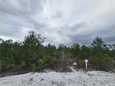 0 Gaillardia Drive Indian Lake Estates FL 33855