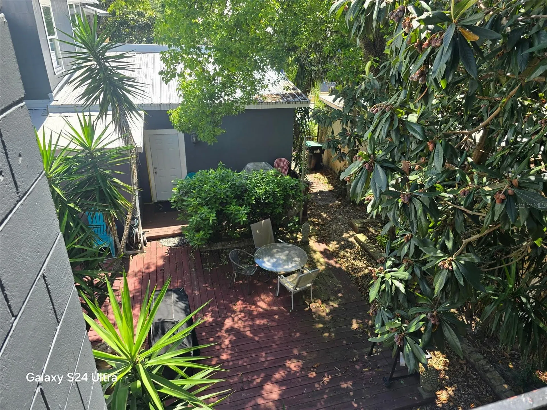 7306 Earlwood Avenue Mount Dora FL 32757