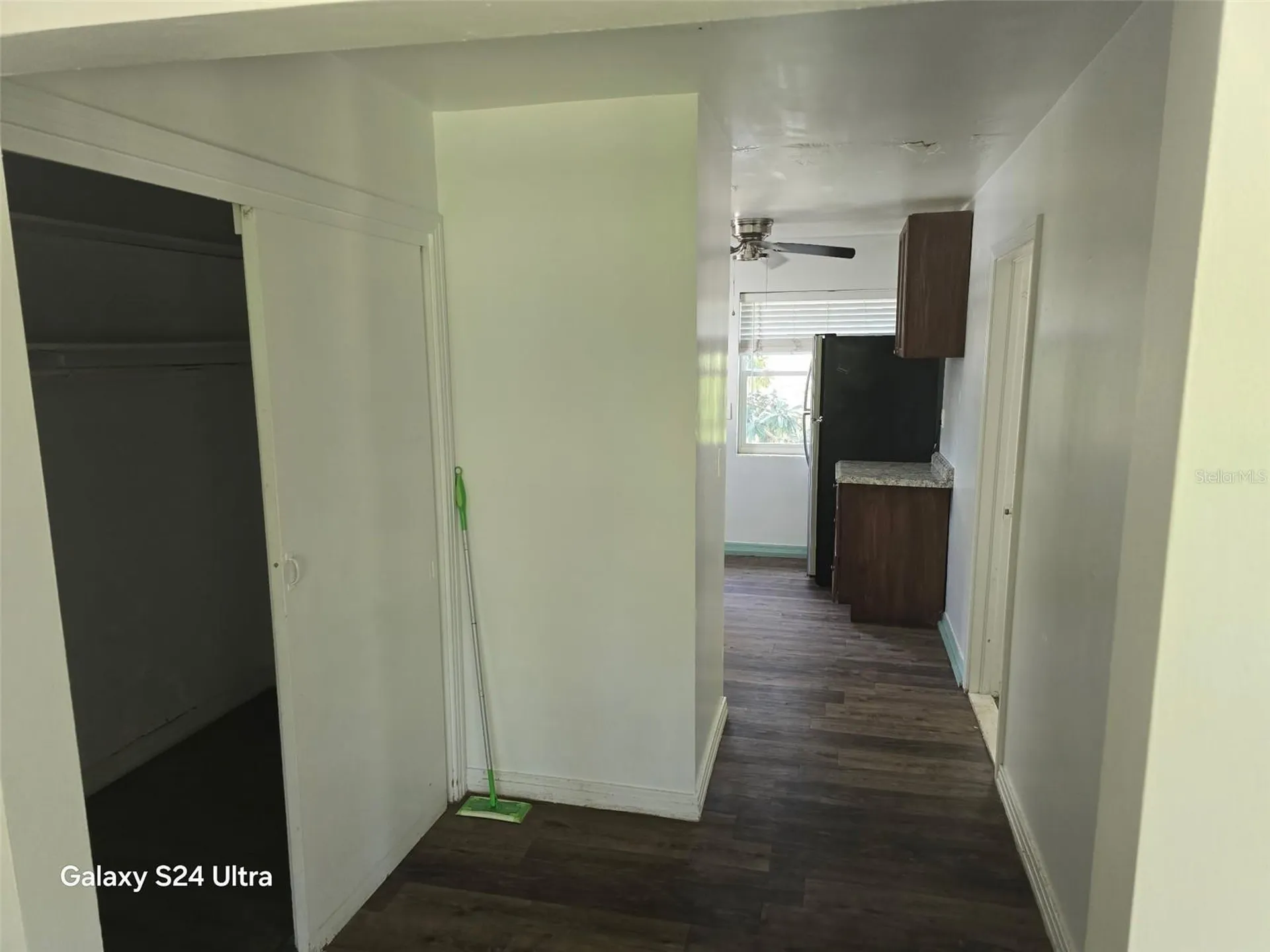 7306 Earlwood Avenue Mount Dora FL 32757