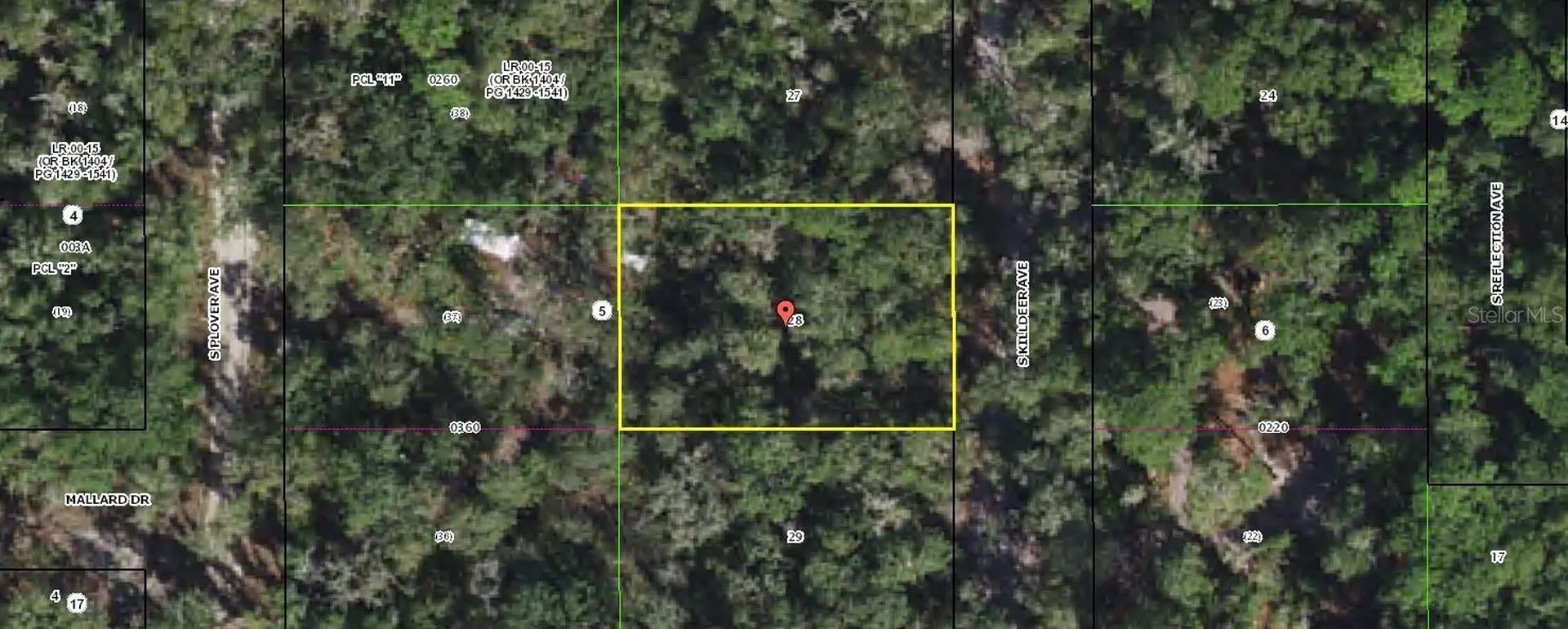 3966 S Killdeer Avenue Inverness FL 34450
